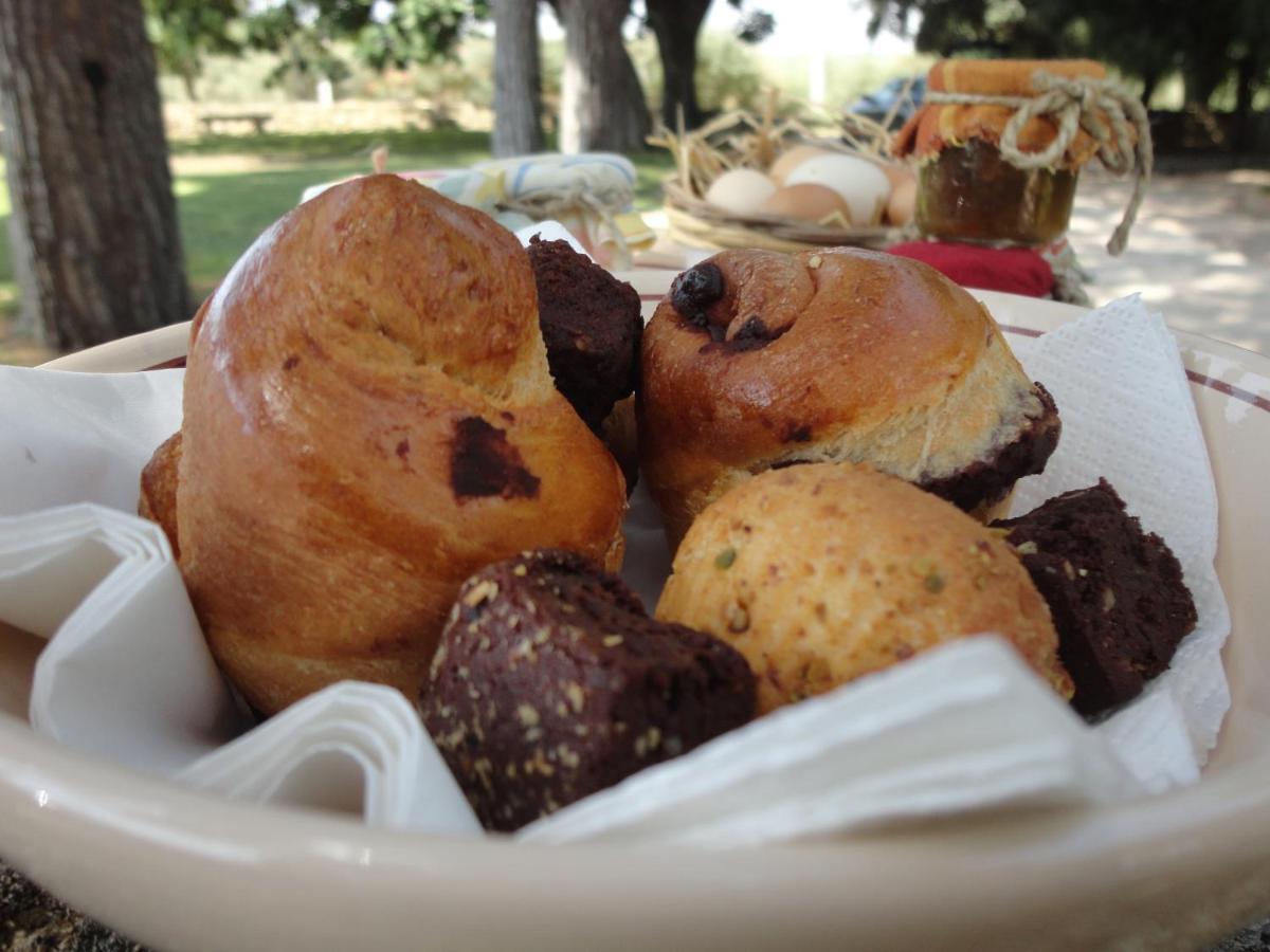 קנוסה די פוליה Cefalicchio B&B מראה חיצוני תמונה